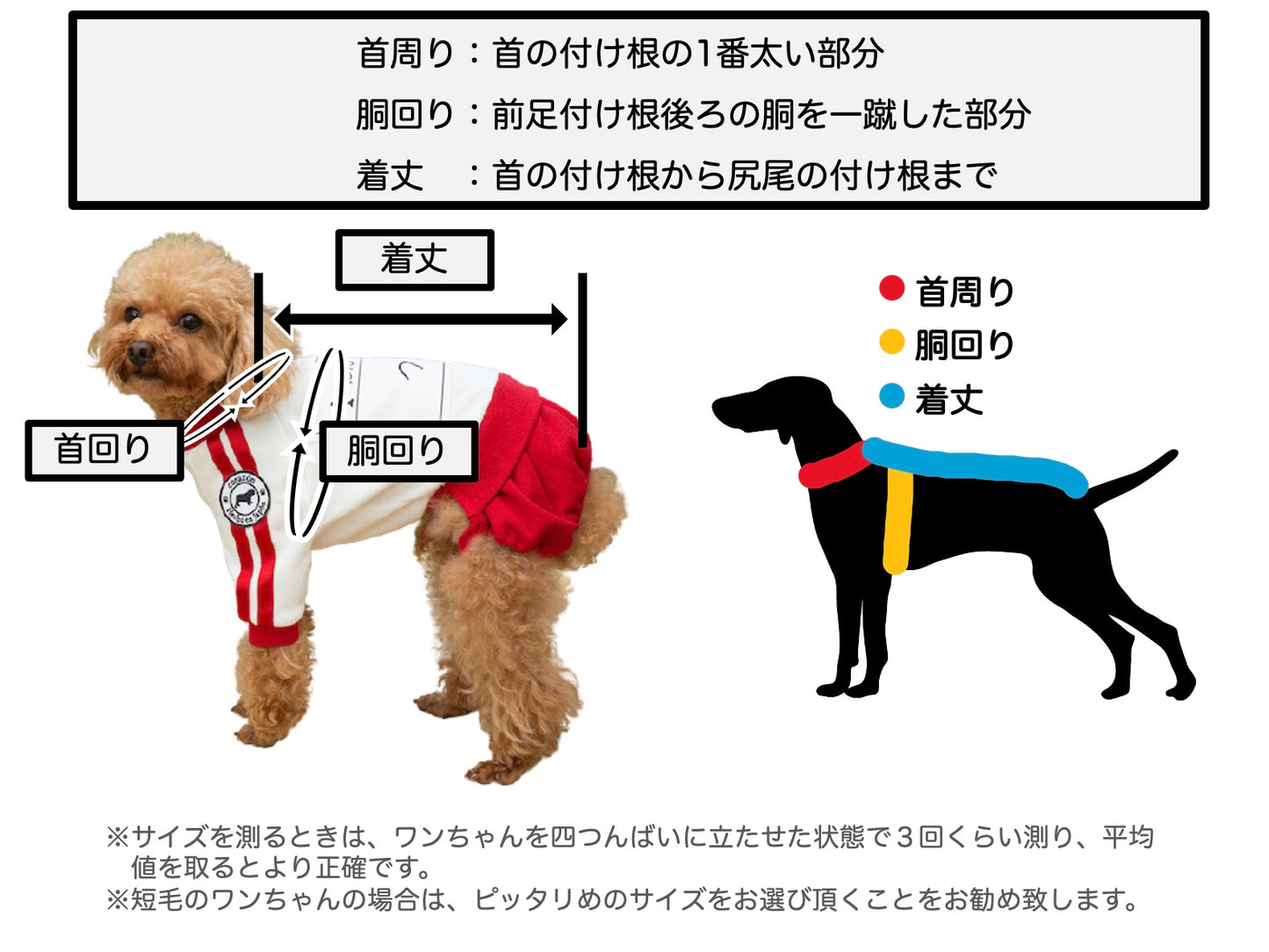 【赤】ゼッケン付き体操着 - コットン100%