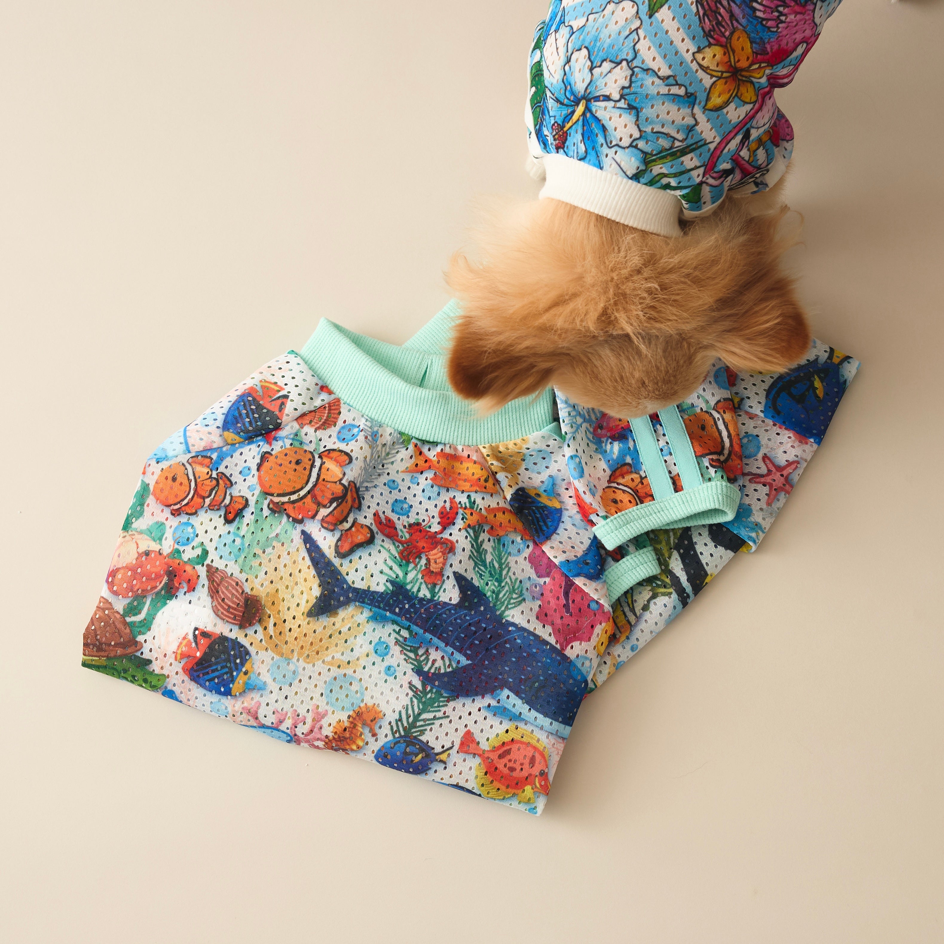 かりん様❤️くま耳付き帽子♡ハートデニム♡コットン♡フレブル♡ハンドメイド犬服 クマ耳帽子 コットン100% | HANDMADE MORITA