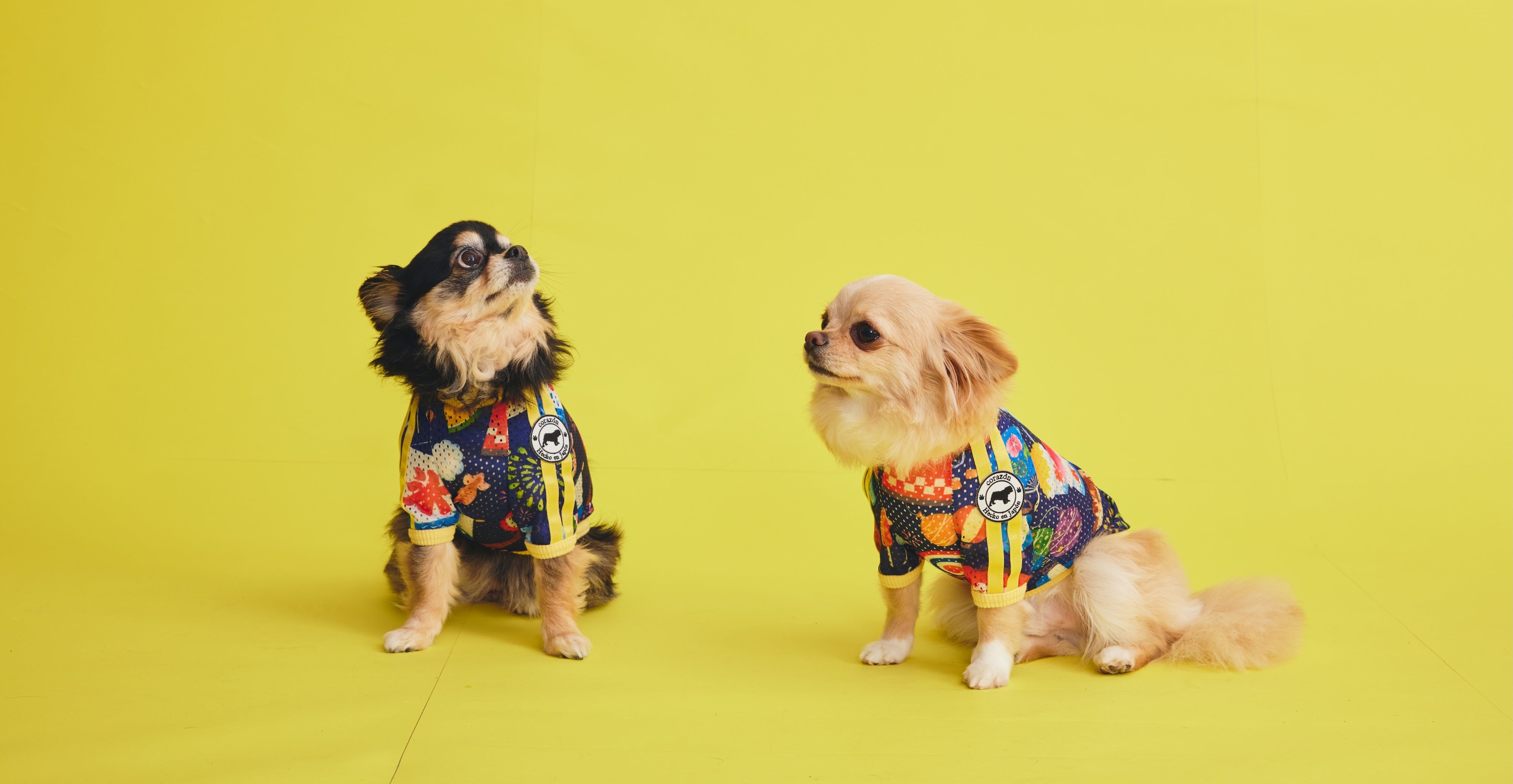 犬服♡ Ribon★(◕ᴗ◕✿)♪̆̈ corazón』北斗晶プロデュースペット服D2Cブランド – ペット服【corazón
