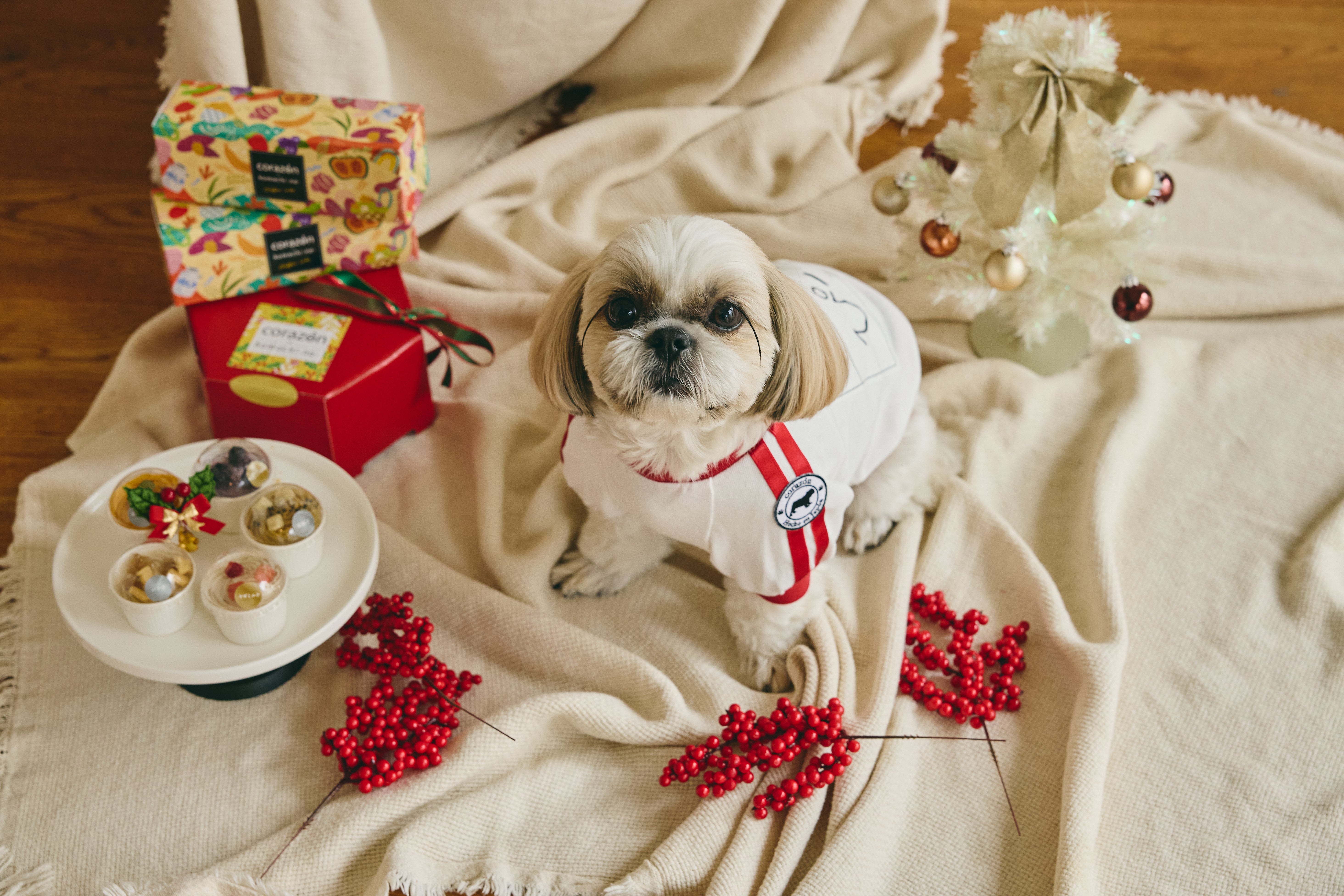 corazón』北斗晶プロデュースペット服D2Cブランド – ペット服【corazón