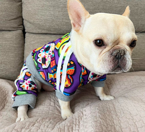 corazón』北斗晶プロデュースペット服D2Cブランド – ペット服【corazón