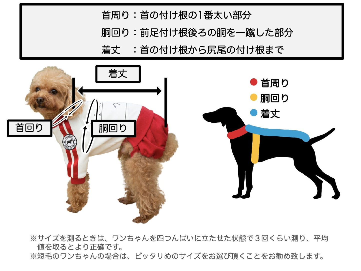 【黒】ゼッケン付き体操着 - コットン100% 
